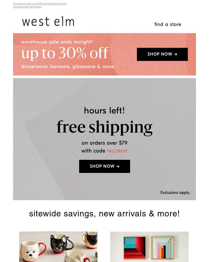 Screenshot of email with subject /media/emails/freeeeee-shipping-til-midnight-with-code-falltreat-a2c281-cropped-2f221514.jpg
