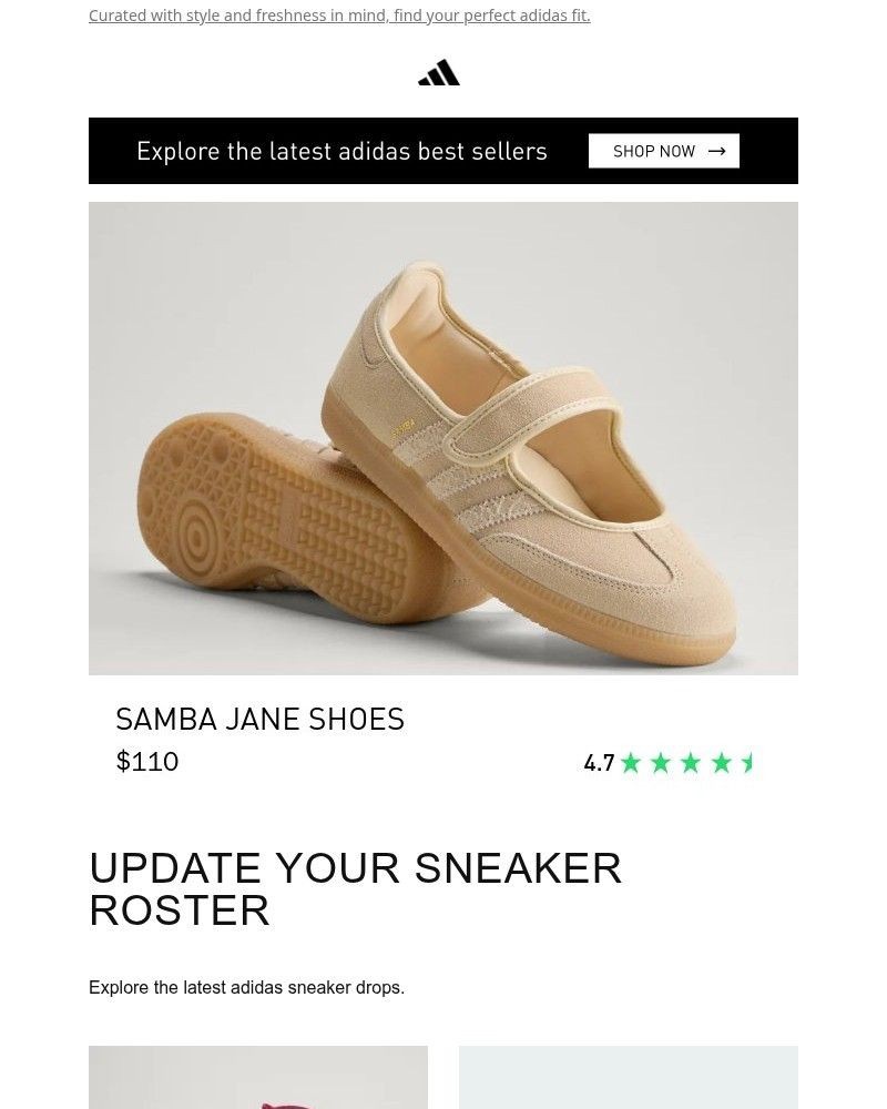 Screenshot of email sent to a Adidas Newsletter subscriber