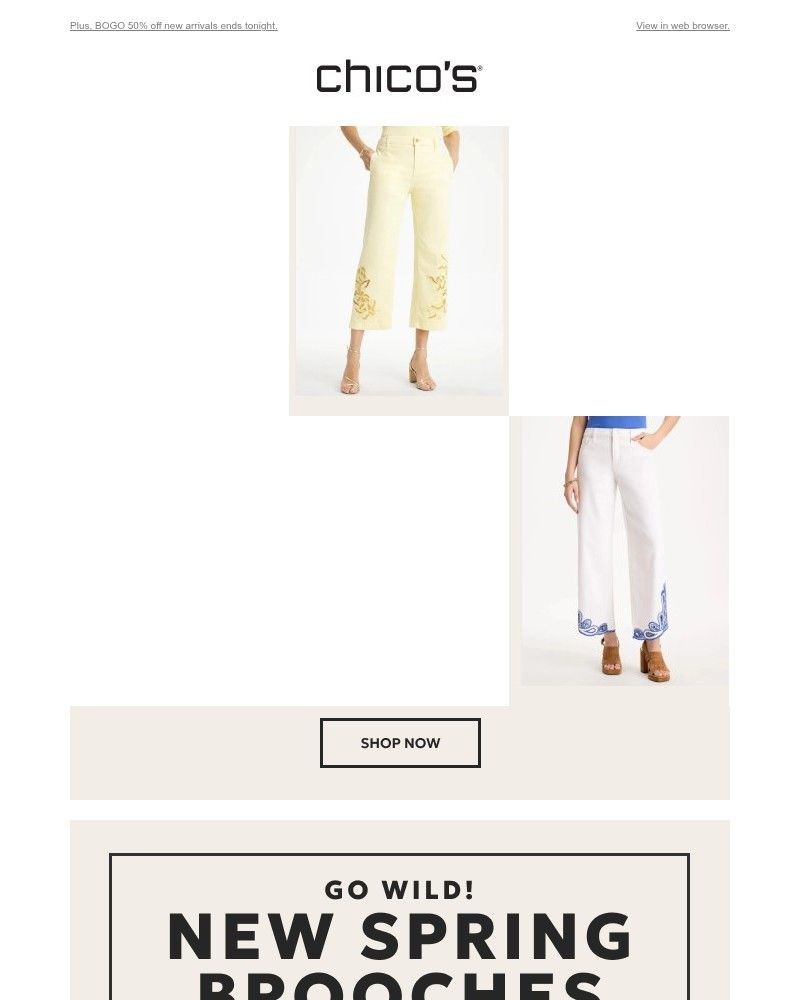 Screenshot of email sent to a Chico’s Newsletter subscriber