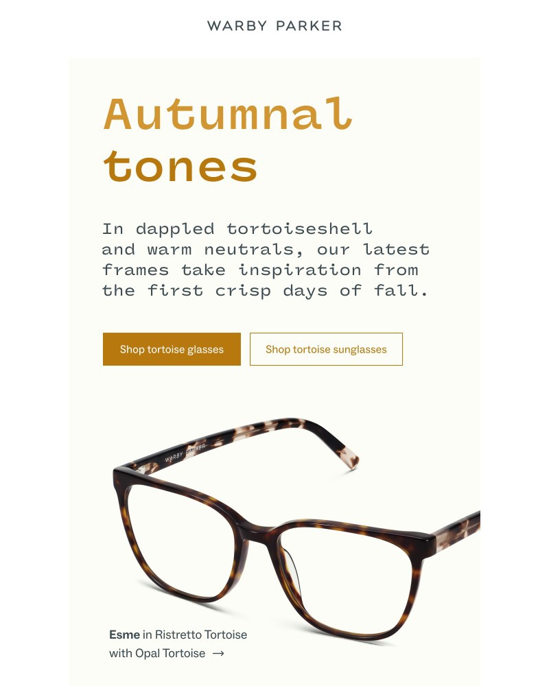 Screenshot of email with subject /media/emails/fresh-fall-colorways-89e2d8-cropped-288903ab.jpg