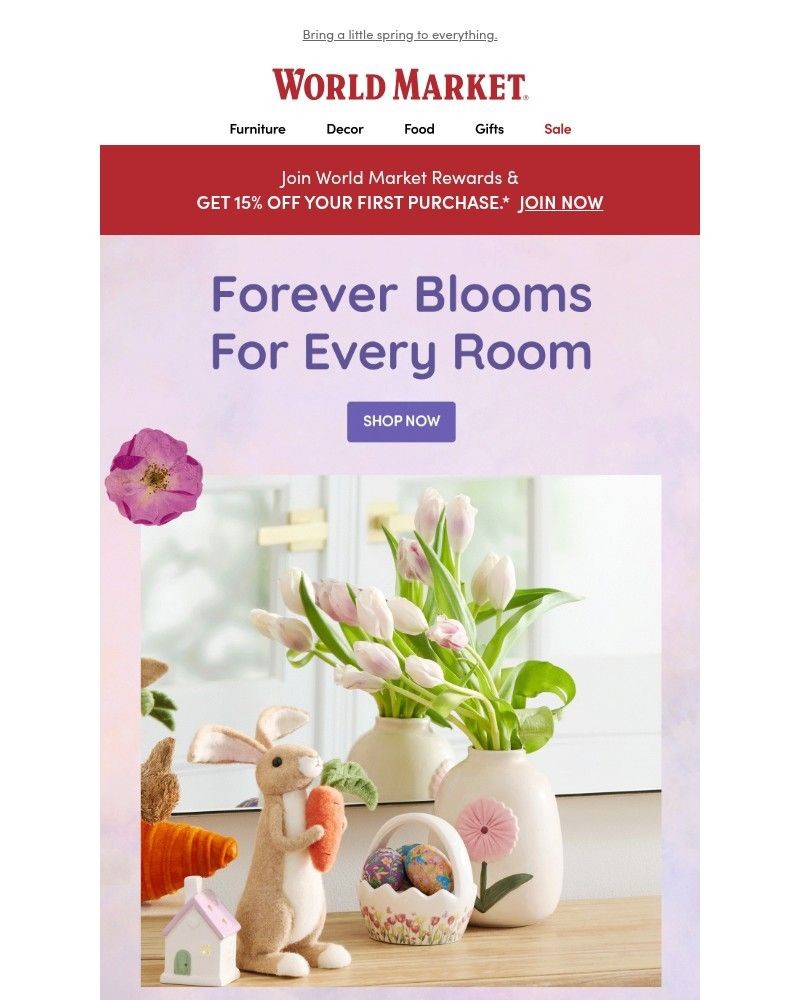 Screenshot of email sent to a World Market Cart abandoner