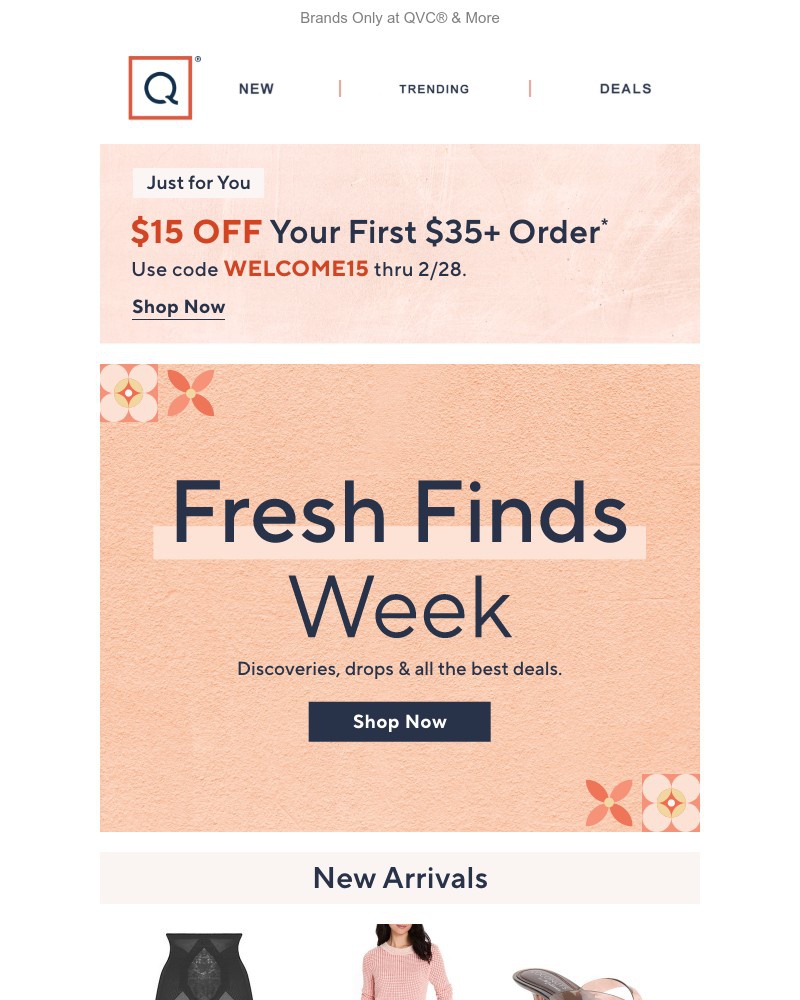 Screenshot of email with subject /media/emails/fresh-finds-are-going-fast-17885e-cropped-5e65180c.jpg