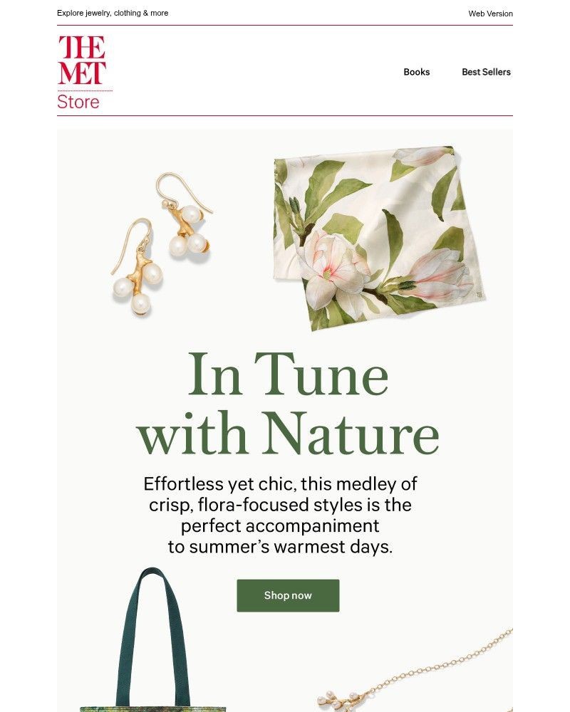 Screenshot of email sent to a The Metropolitan Museum of Art (The Met) Newsletter subscriber