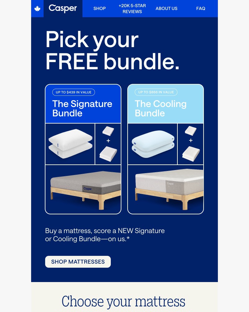 Screenshot of email with subject /media/emails/fresh-free-bundles-just-dropped-7f9727-cropped-d1f236c6.jpg