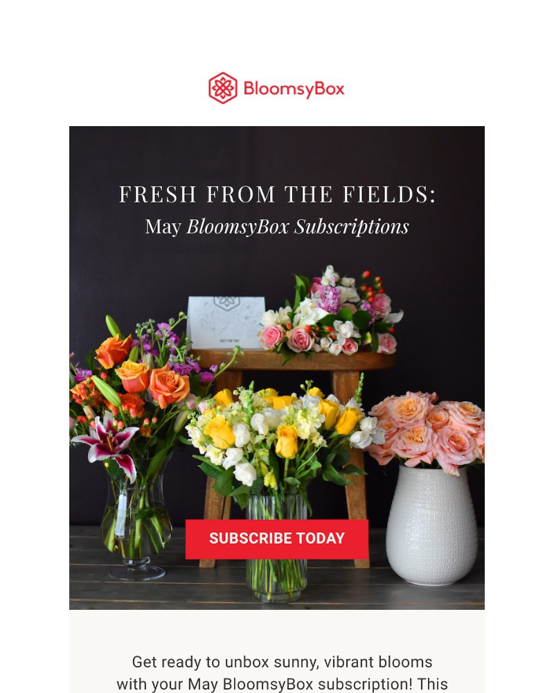 Screenshot of email with subject /media/emails/fresh-from-the-fields-ae3db1-cropped-2f0cf9b8.jpg