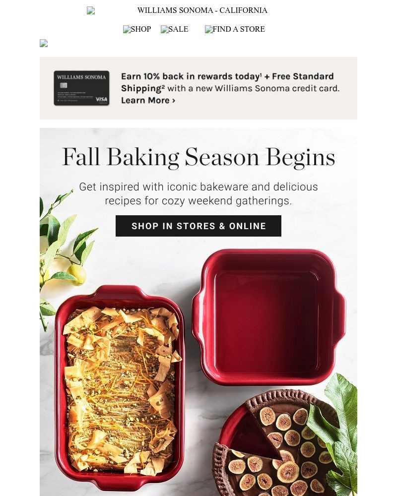 Screenshot of email with subject /media/emails/fresh-from-the-oven-new-bakeware-for-fall-eee1a1-cropped-fe3bb5af.jpg