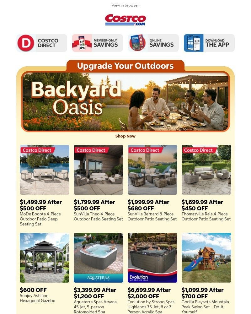 Screenshot of email sent to a Costco Newsletter subscriber