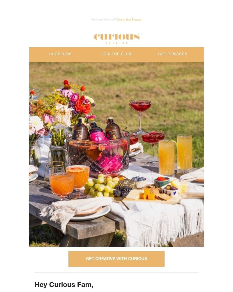 Screenshot of email with subject /media/emails/fresh-inspo-for-your-summer-sipping-039a85-cropped-9005b9e8.jpg