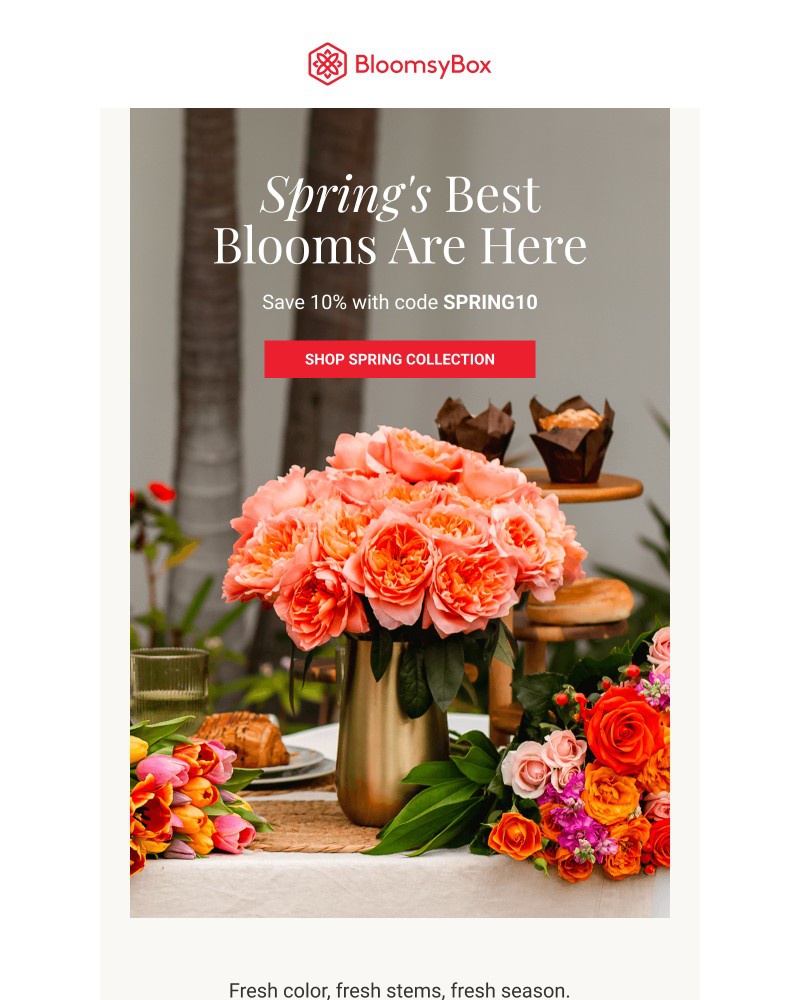 Screenshot of email with subject /media/emails/fresh-season-fresh-everything-b4c5f3-cropped-9ea3efb4.jpg