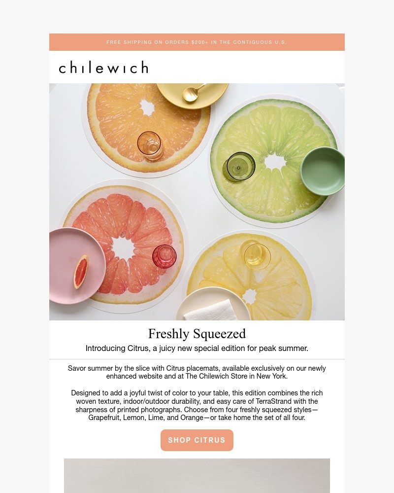 Screenshot of email with subject /media/emails/freshly-squeezed-citrus-placemats-ce87af-cropped-67bda3fb.jpg