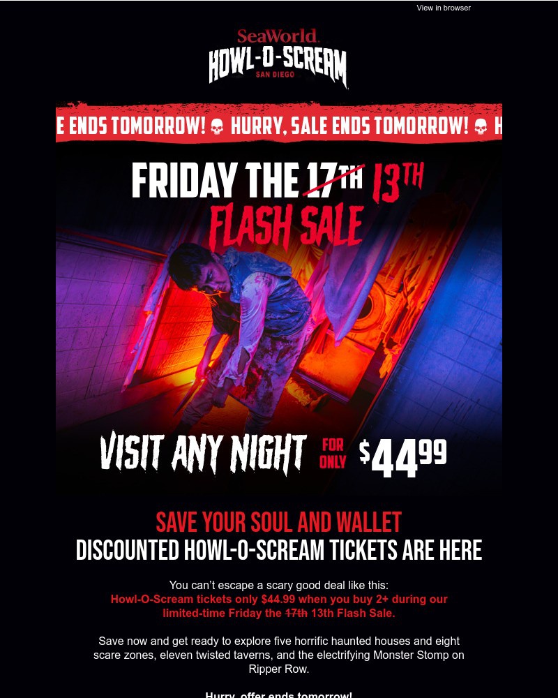 Screenshot of email with subject /media/emails/friday-the-13th-flash-sale-visit-any-night-only-4499-12f362-cropped-2c53a5ae.jpg