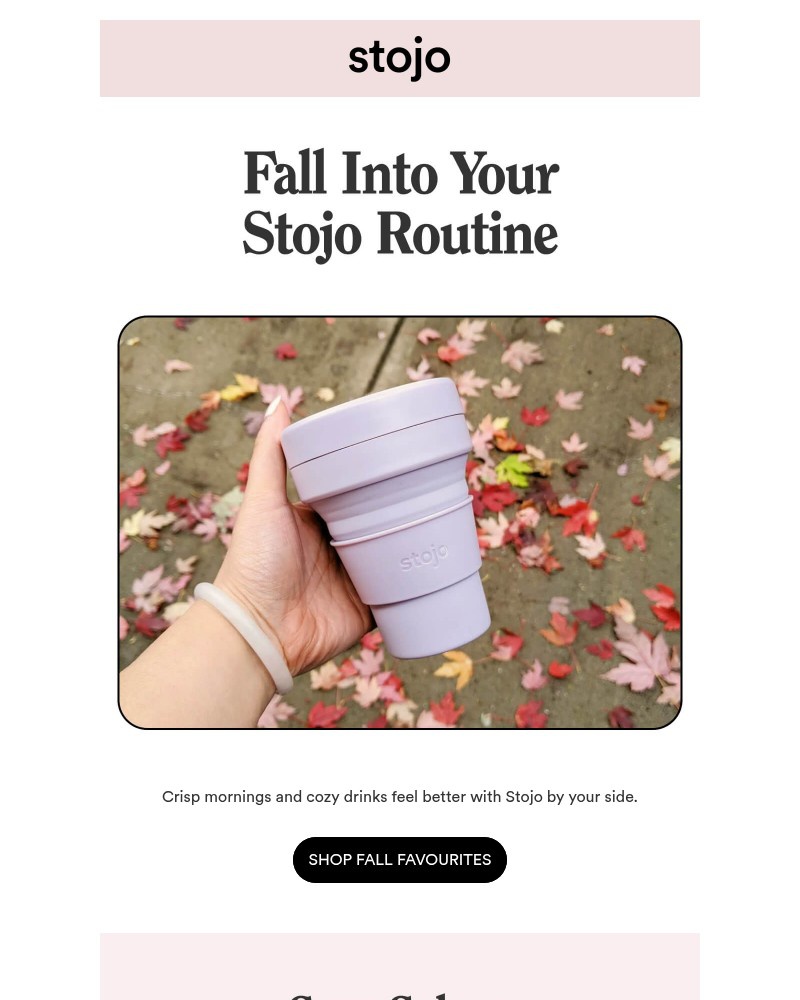 Screenshot of email with subject /media/emails/friend-make-every-sip-seasonal-e38a4a-cropped-45c2735a.jpg