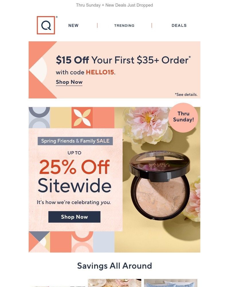 Screenshot of email with subject /media/emails/friends-family-up-to-25-off-sitewide-9c59f1-cropped-7eeb0a5d.jpg