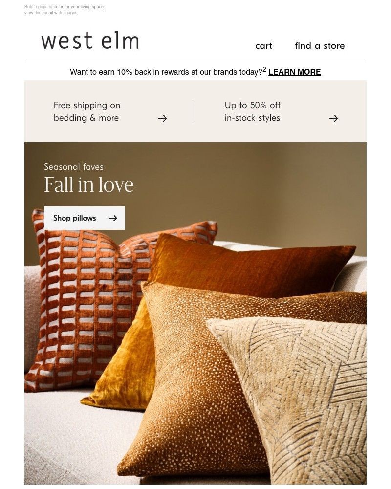 Screenshot of email with subject /media/emails/from-24-lush-throw-pillows-in-tonal-fall-hues-that-ship-free-bb794d-cropped-b46a000c.jpg