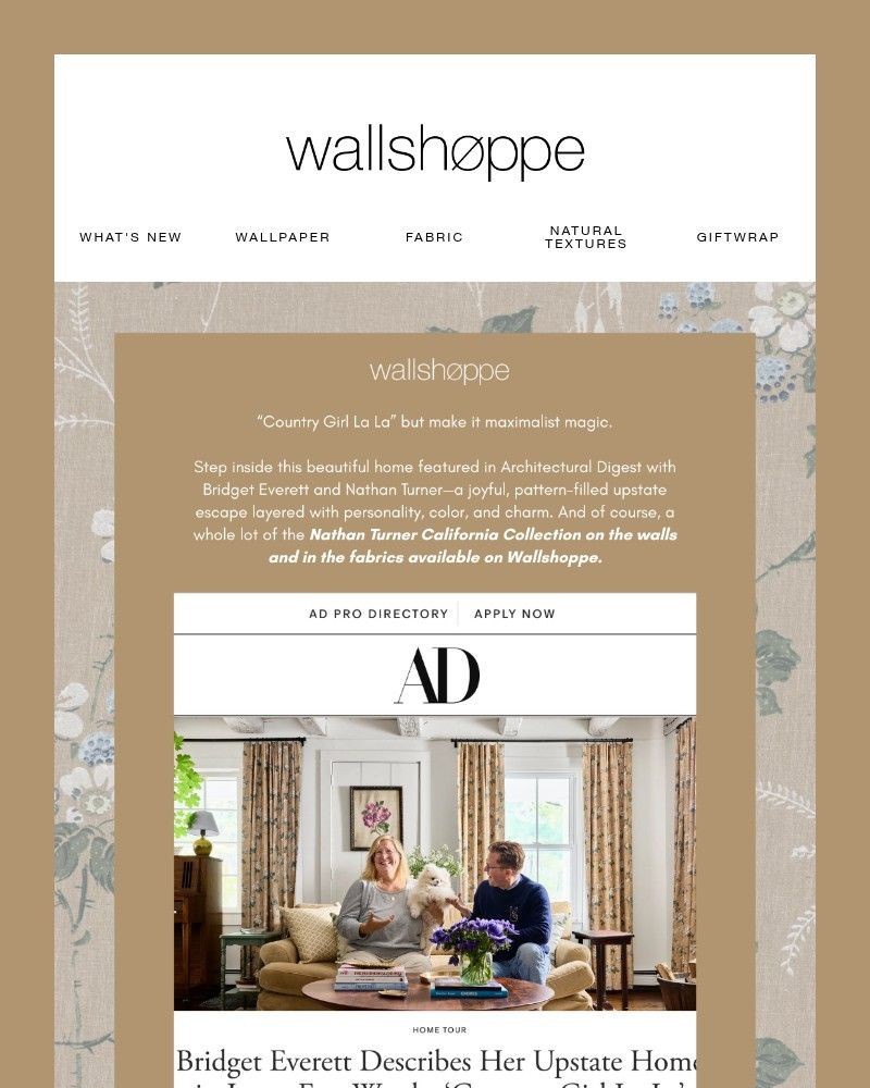 Screenshot of email sent to a Wallshoppe Newsletter subscriber