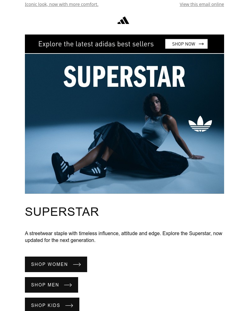 Screenshot of email with subject /media/emails/from-basketball-courts-to-city-streets-2d6019-cropped-6e80a1aa.jpg