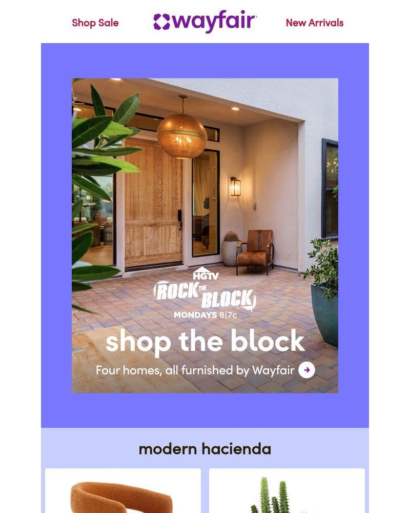 Screenshot of email sent to a Wayfair Newsletter subscriber