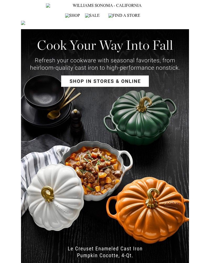Screenshot of email with subject /media/emails/from-le-creuset-pumpkins-to-rich-seasonal-hues-98e86f-cropped-b2dfe480.jpg