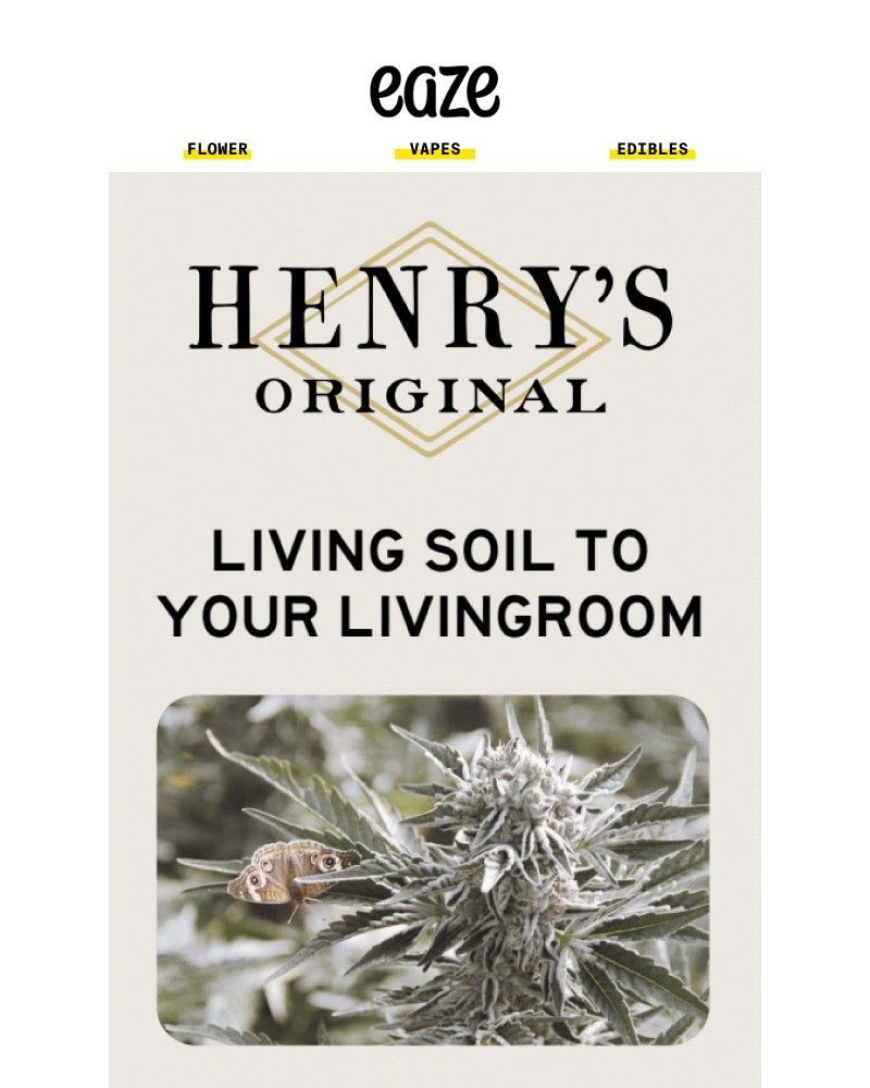 Screenshot of email with subject /media/emails/from-living-soil-in-mendocino-to-you-meet-henrys-original-e25e26-cropped-0ad7bb85.jpg