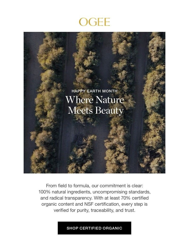 Screenshot of email sent to a Ogee Newsletter subscriber