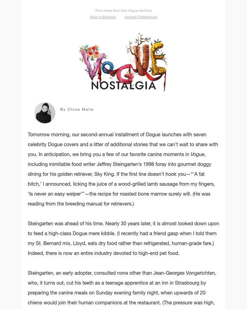 Screenshot of email with subject /media/emails/from-the-archives-jeffrey-steingarten-on-gourmet-doggy-dining-fa9a89-cropped-2acd6895.jpg