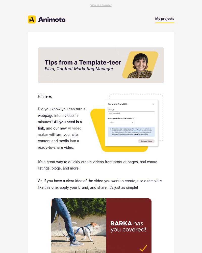 Screenshot of email sent to a Animoto Registered user