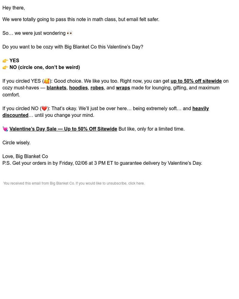 Screenshot of email sent to a Big Blanket Co. Newsletter subscriber