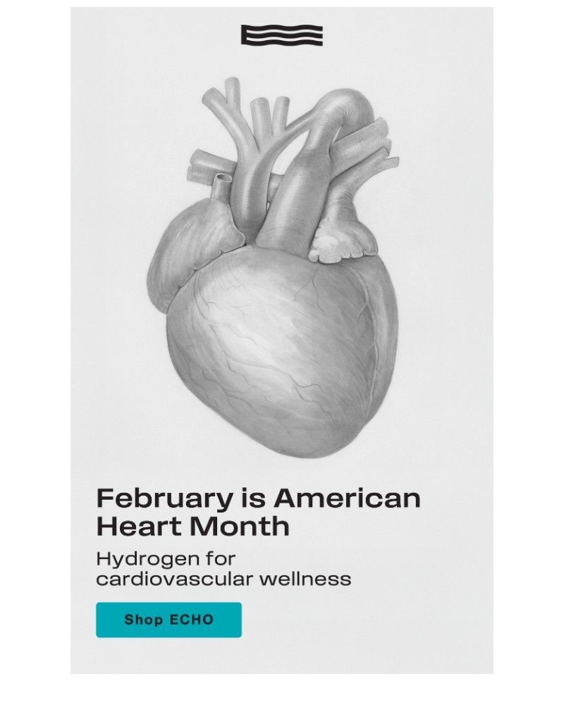 Screenshot of email sent to a Echo Water Newsletter subscriber