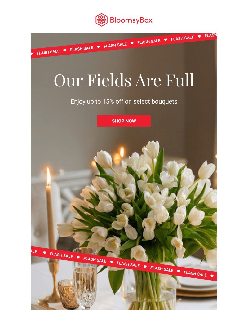 Screenshot of email with subject /media/emails/full-fields-mean-flash-sale-time-4b3867-cropped-51f9d6d1.jpg