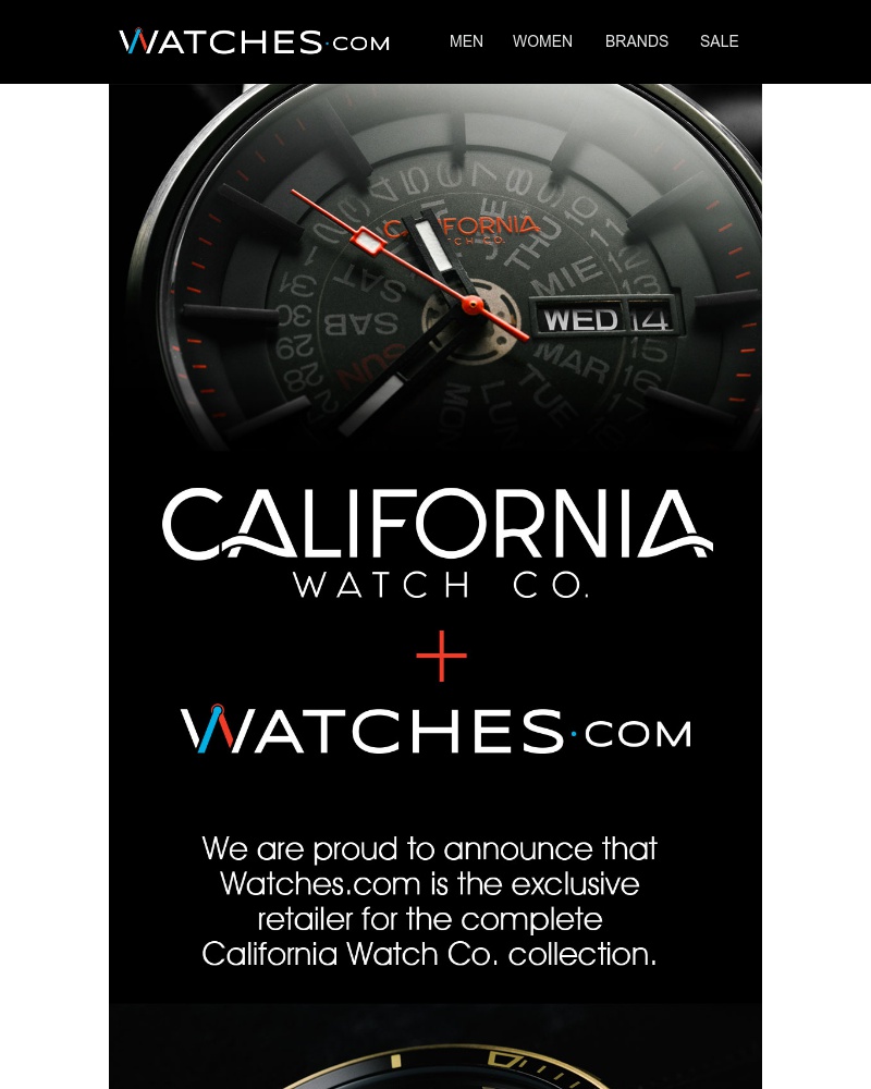 Screenshot of email with subject /media/emails/full-reveal-california-watch-co-cropped-62098f6f.jpg