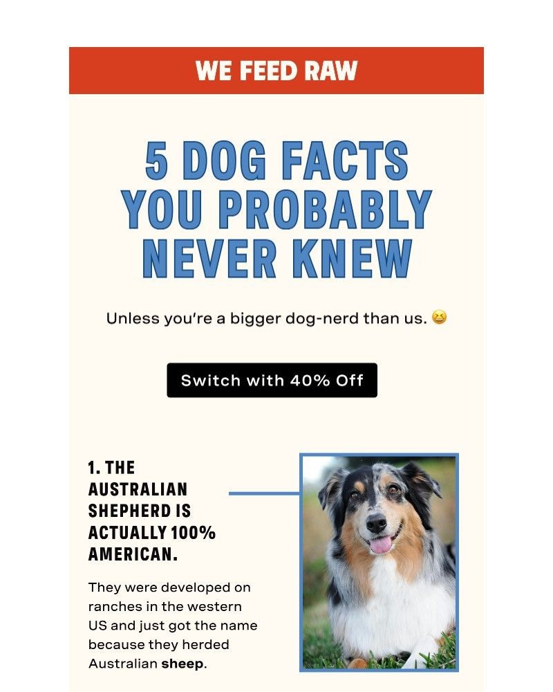 Screenshot of email with subject /media/emails/fun-facts-40-off-for-your-pup-f05f64-cropped-ee26c311.jpg