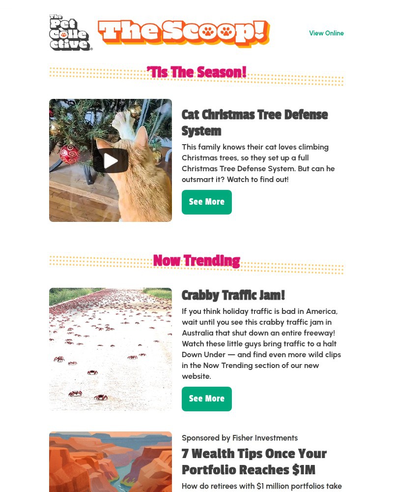 Screenshot of email with subject /media/emails/funny-video-clever-barrier-keeps-cat-away-from-xmas-tree-bcb4c6-cropped-988e3bac.jpg