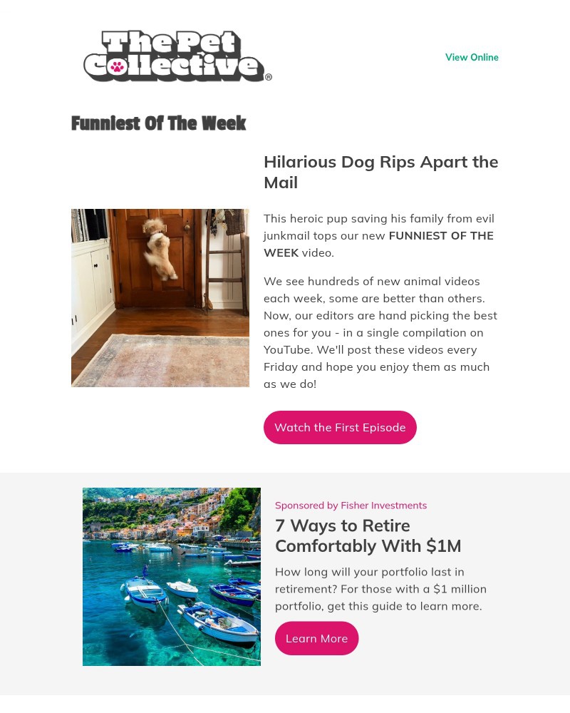 Screenshot of email with subject /media/emails/funny-video-dog-destroys-mail-being-delivered-5ccea2-cropped-4e3f485d.jpg