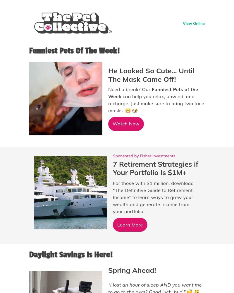 Screenshot of email with subject /media/emails/funny-video-dog-rips-off-facial-mask-637fa4-cropped-7d404440.jpg
