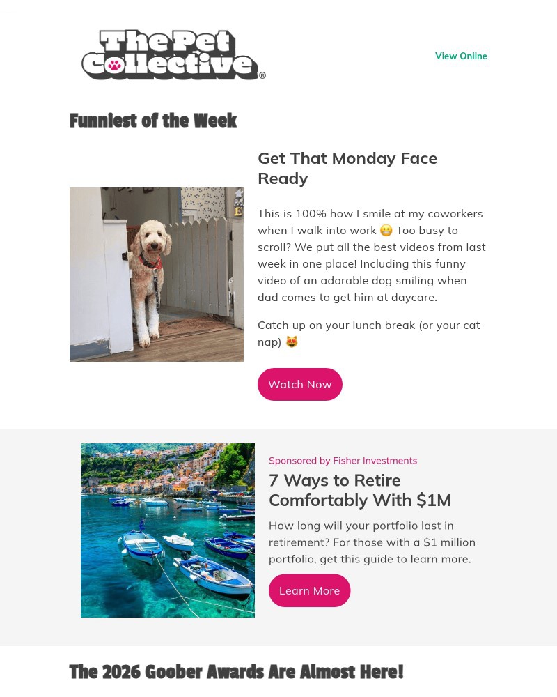 Screenshot of email with subject /media/emails/funny-video-dog-smiles-when-dad-shows-up-c1fdb5-cropped-d44fa1b9.jpg