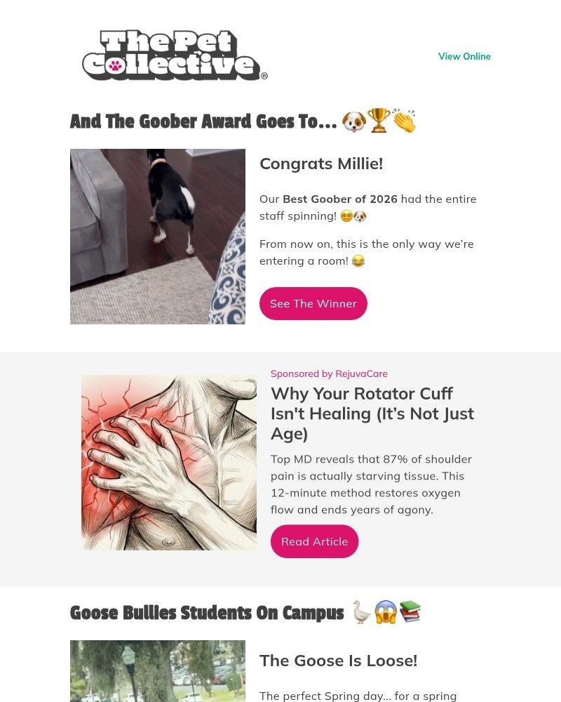 Screenshot of email sent to a Reader’s Digest Newsletter subscriber