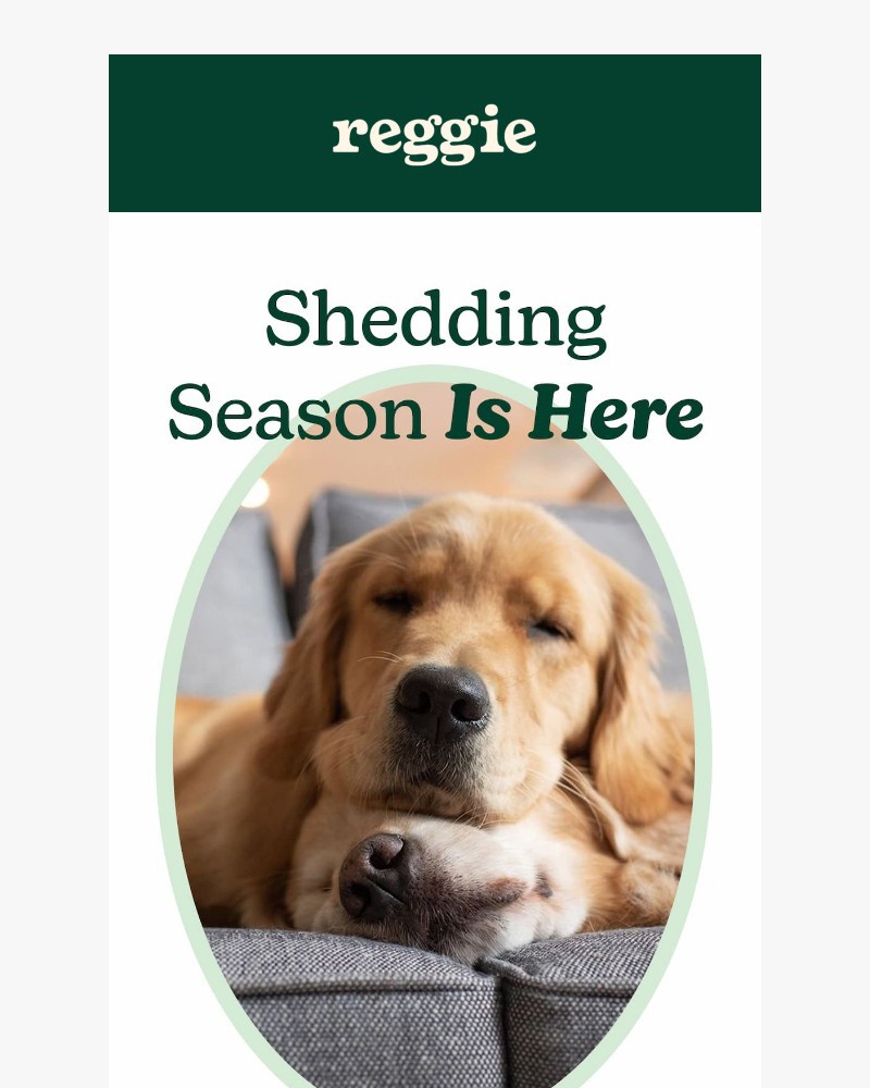 Screenshot of email with subject /media/emails/fur-tumbleweeds-not-this-year-bc196d-cropped-f05ba5ab.jpg