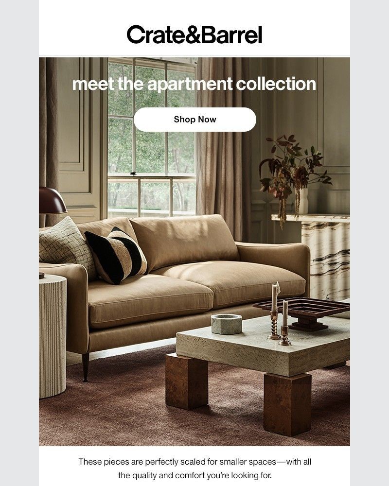 Screenshot of email sent to a Crate & Barrel Newsletter subscriber