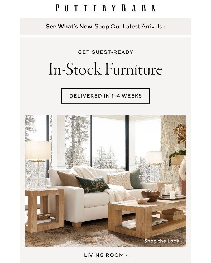 Screenshot of email with subject /media/emails/furniture-that-arrives-in-time-for-guests-fb5e0f-cropped-87e1994e.jpg