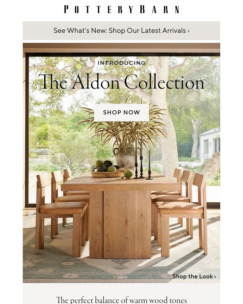 Screenshot of email with subject /media/emails/furniture-that-feels-at-homeintroducing-aldon-862187-cropped-d809352b.jpg