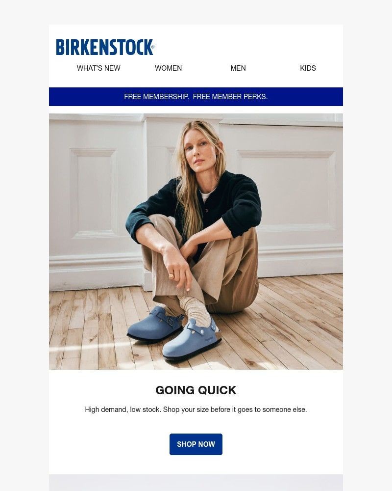 Screenshot of email with subject /media/emails/fyi-about-to-sell-out-tokio-stone-blue-lutry-gray-taupe-clogs-26134b-cropped-553b04a1.jpg