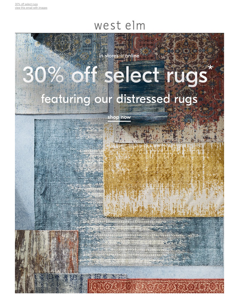 Screenshot of email with subject /media/emails/fyi-best-selling-vintage-inspired-rugs-are-on-sale-cropped-bd055c0f.jpg