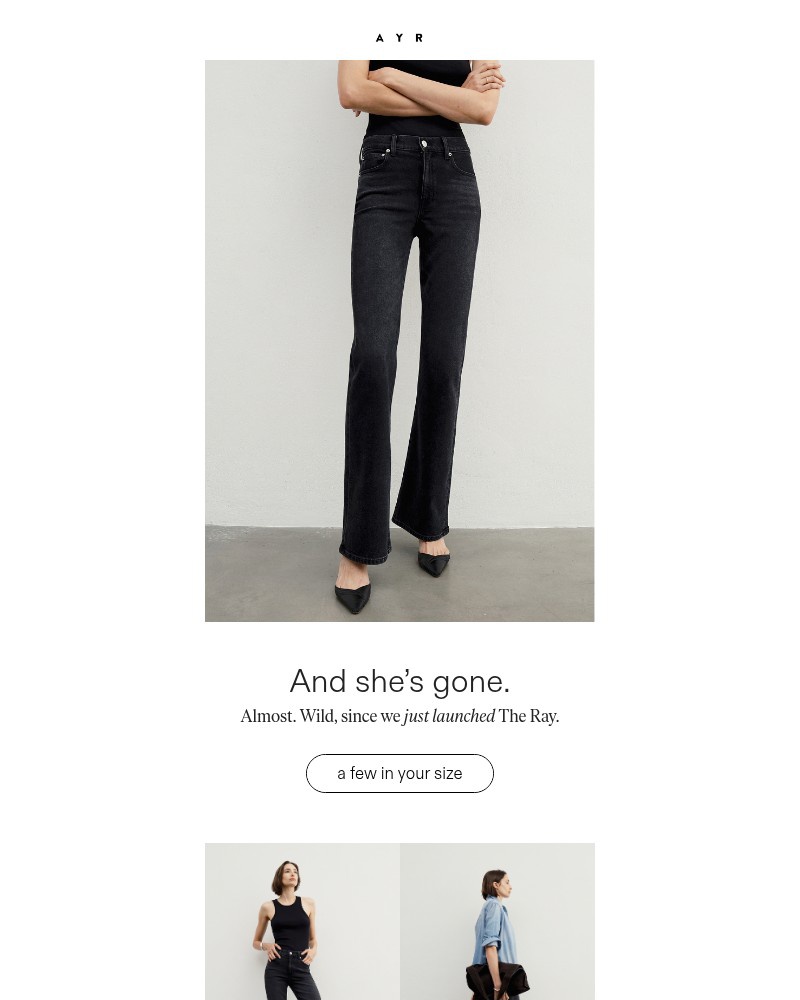 Screenshot of email sent to a AYR Newsletter subscriber