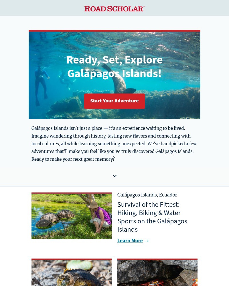 Screenshot of email with subject /media/emails/galapagos-islands-your-next-classroom-922df8-cropped-ef86540d.jpg