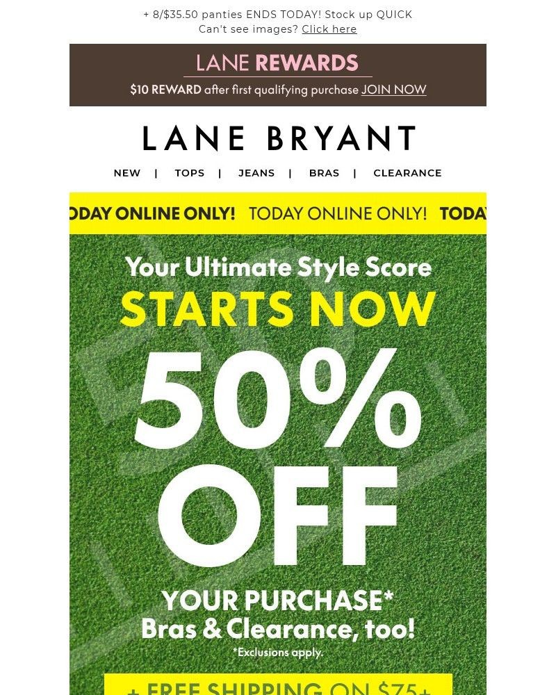 Screenshot of email sent to a Lane Bryant Newsletter subscriber