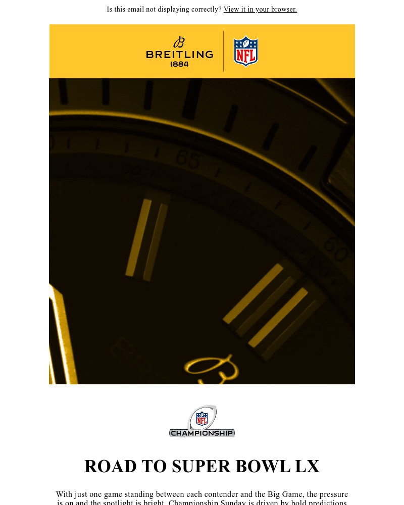 Screenshot of email sent to a Breitling Newsletter subscriber