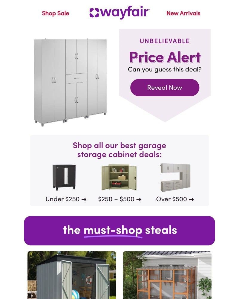 Screenshot of email with subject /media/emails/garage-storage-cabinets-at-amazing-prices-f457ba-cropped-c7dc4ace.jpg