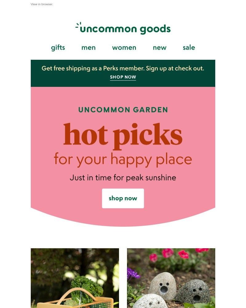 Screenshot of email with subject /media/emails/garden-faves-are-flying-off-the-shelves-d50a3c-cropped-08305468.jpg