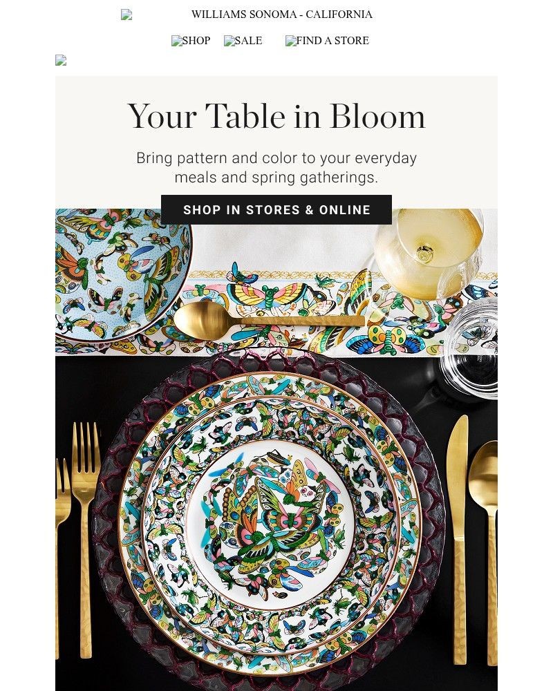 Screenshot of email with subject /media/emails/garden-inspired-style-ready-to-entertain-e078a0-cropped-c4d27554.jpg