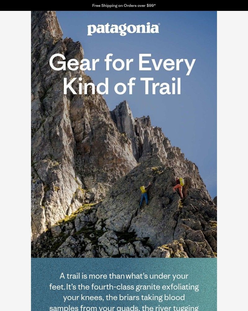 Screenshot of email sent to a Patagonia Newsletter subscriber